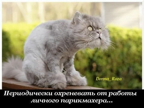 lNWIOSZEX_Q.webp