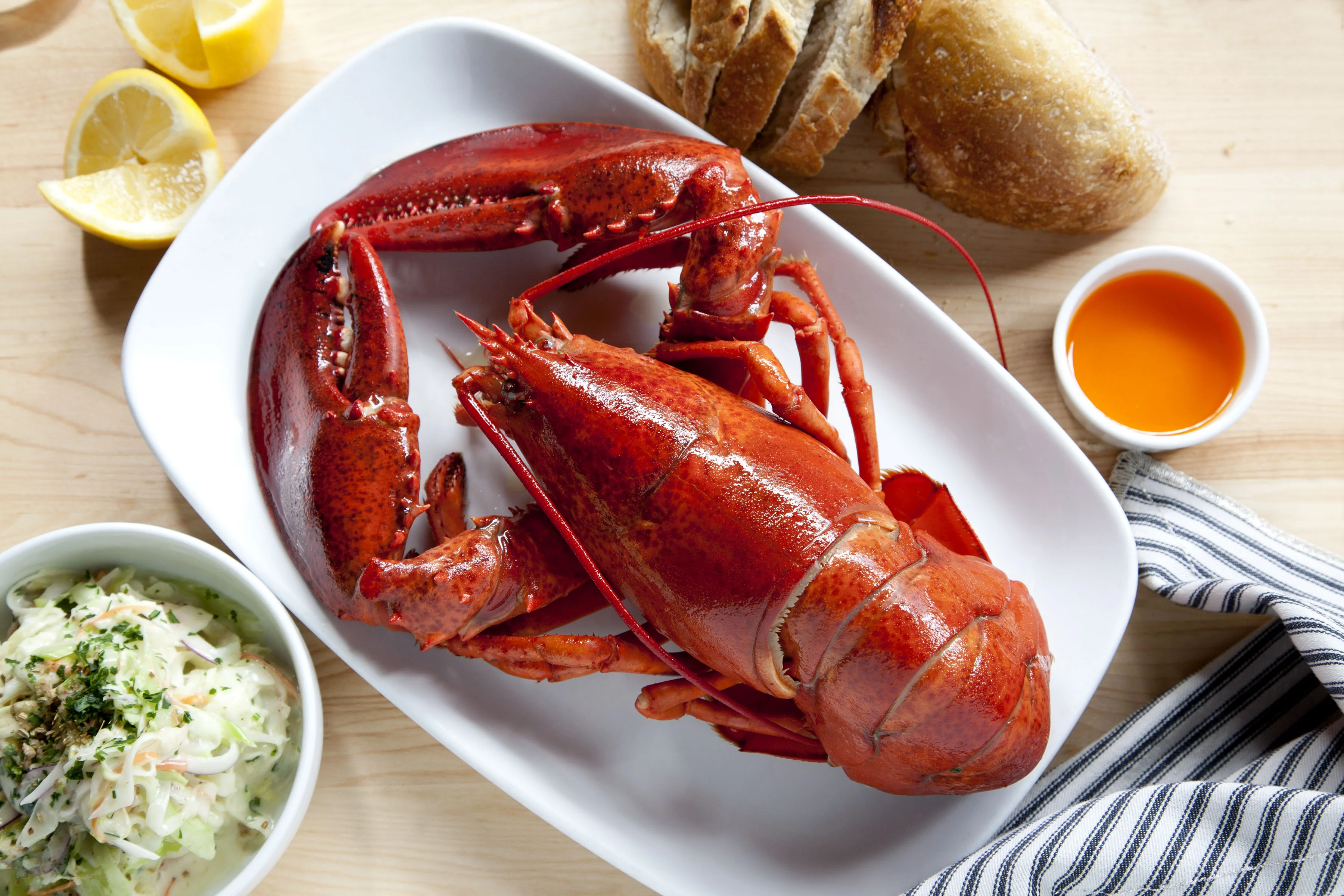 lobster-3.webp