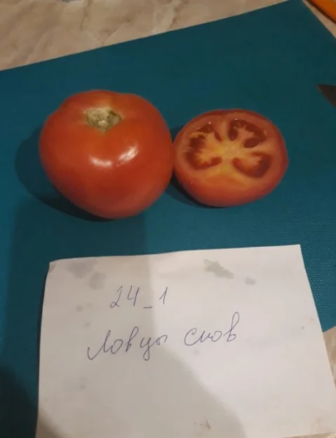 лодочки из помидоров1.webp