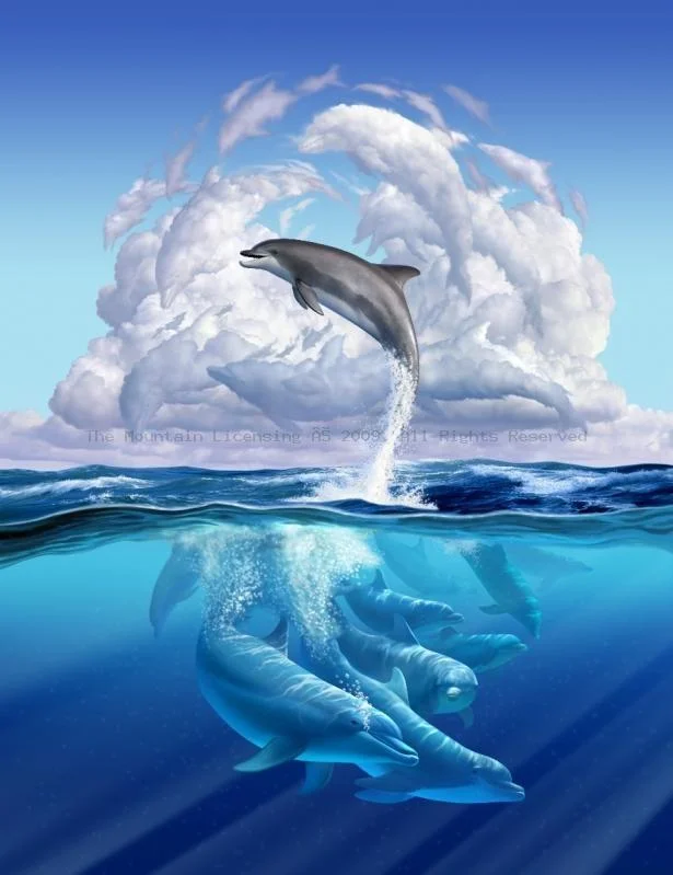 LoFaro-Dolphins%202009_.webp