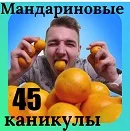 лого 3.webp