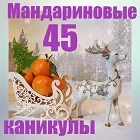 лого 4.webp