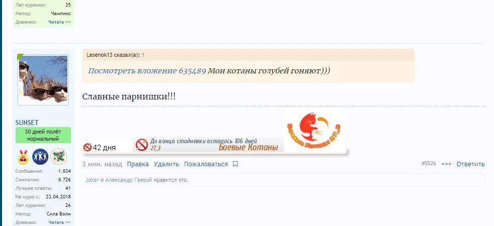 лого котан.webp