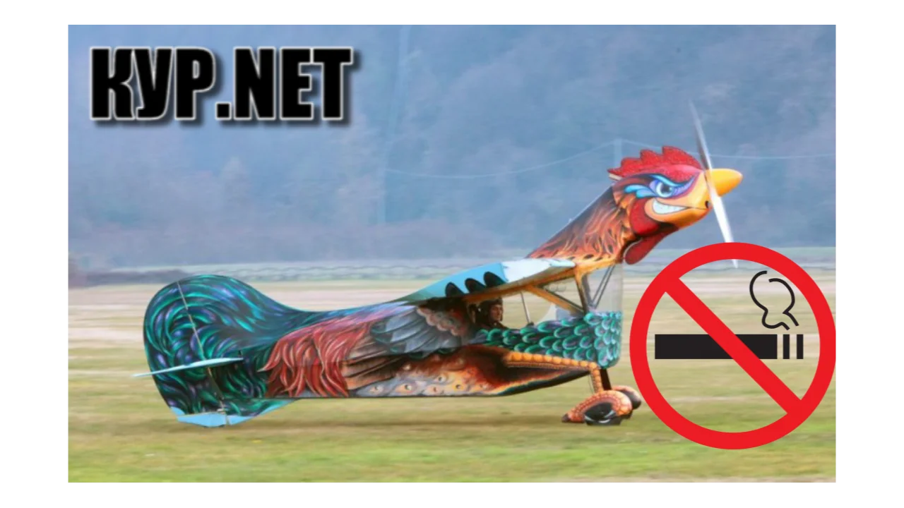 Лого самолет-петух0.webp