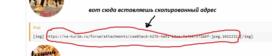 Лого.webp