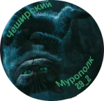 лого1.webp