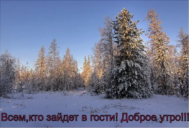 lol1423019510.webp