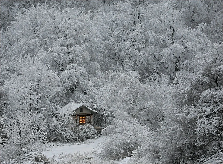 lonely-house-001.webp
