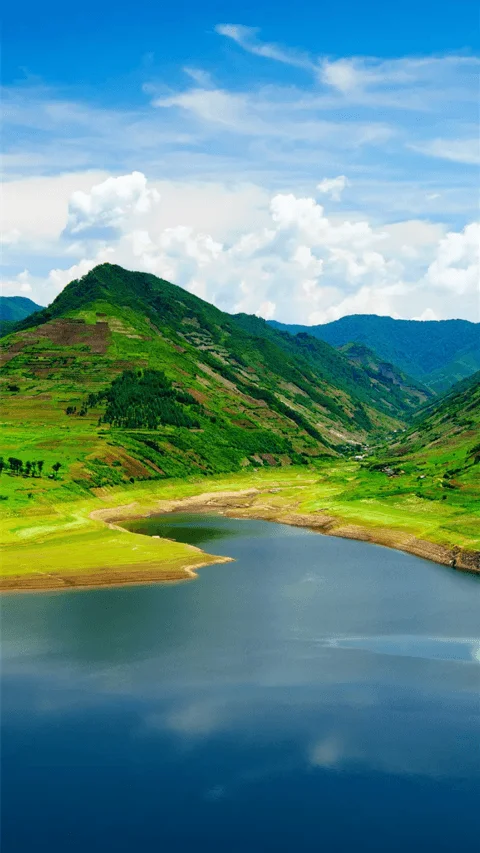 Look at the beauty of nature.webp