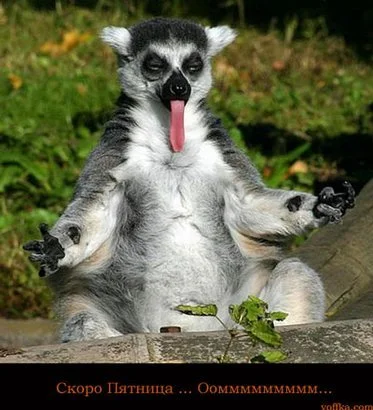 лори скоро пятница.webp