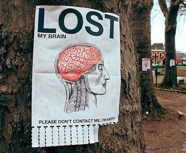 lost_my_brain.webp