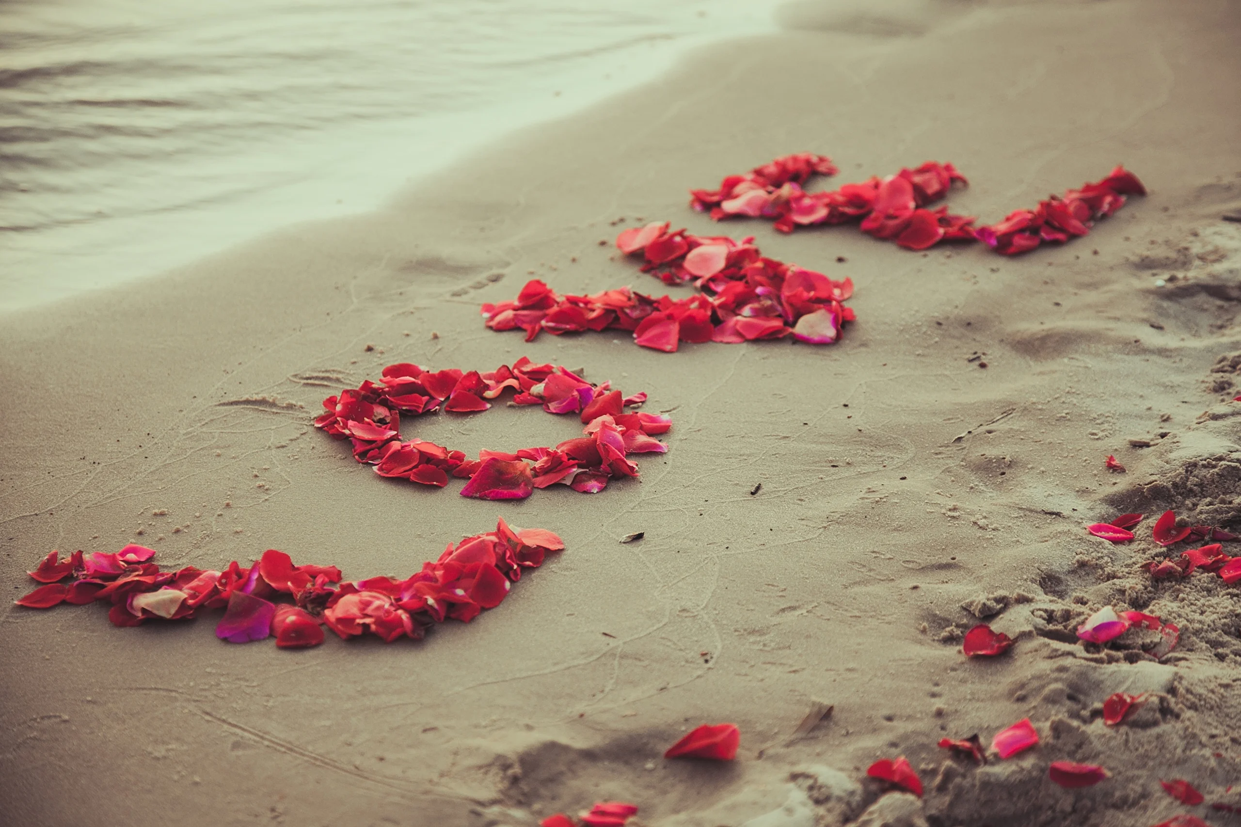 Love_Beach_Petals_Sand_439719.webp
