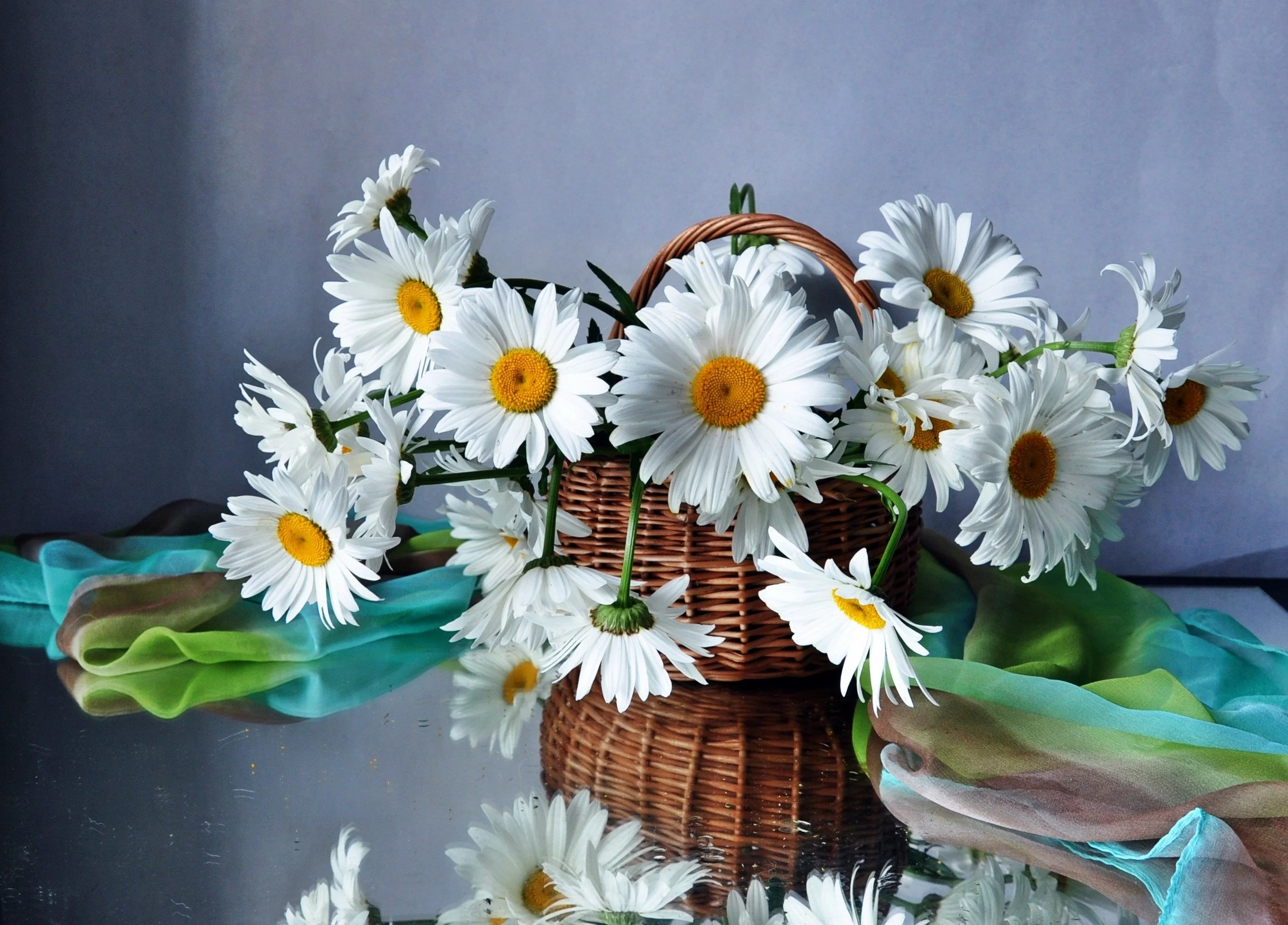lovely-bouquet-of-daisies-245633.webp