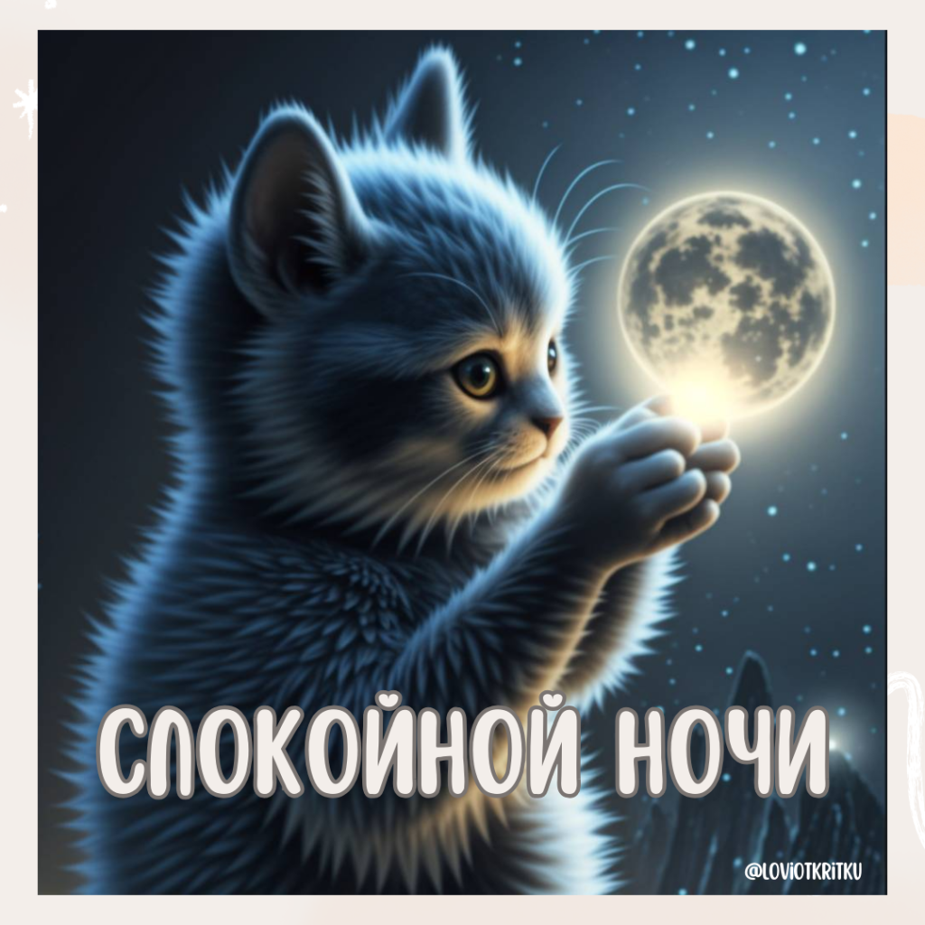 lovi-otkrtyku-post-na-sajt4-1024x1024.png