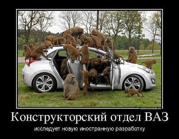 лрпапеа.webp