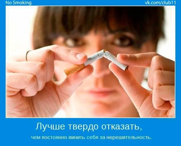 лучше твердо отказаться.webp