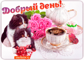 luchshee-pozhelanie-otkrytkoy-dlya-dobrogo-dnya-53603-4229355.gif