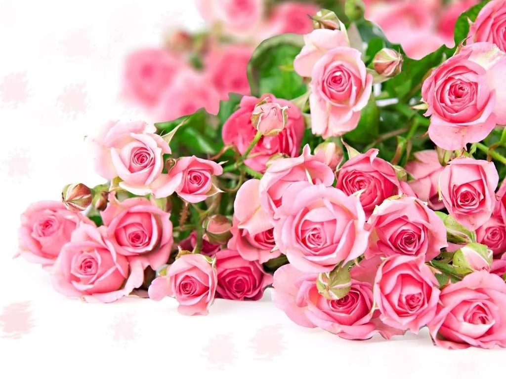 luxfon.com-13192.webp