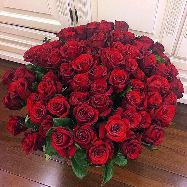 luxury-red-roses-Favim.com-3156546.jpg