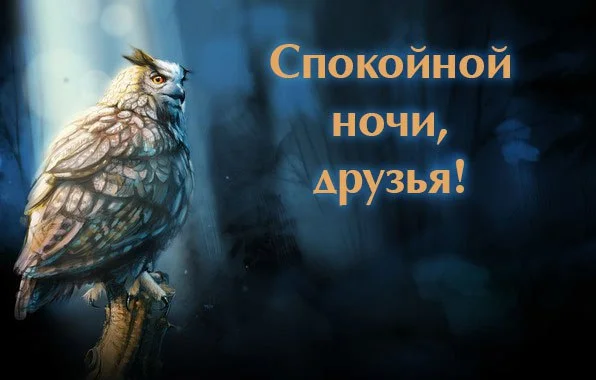 ly0JgxCtlzk.webp