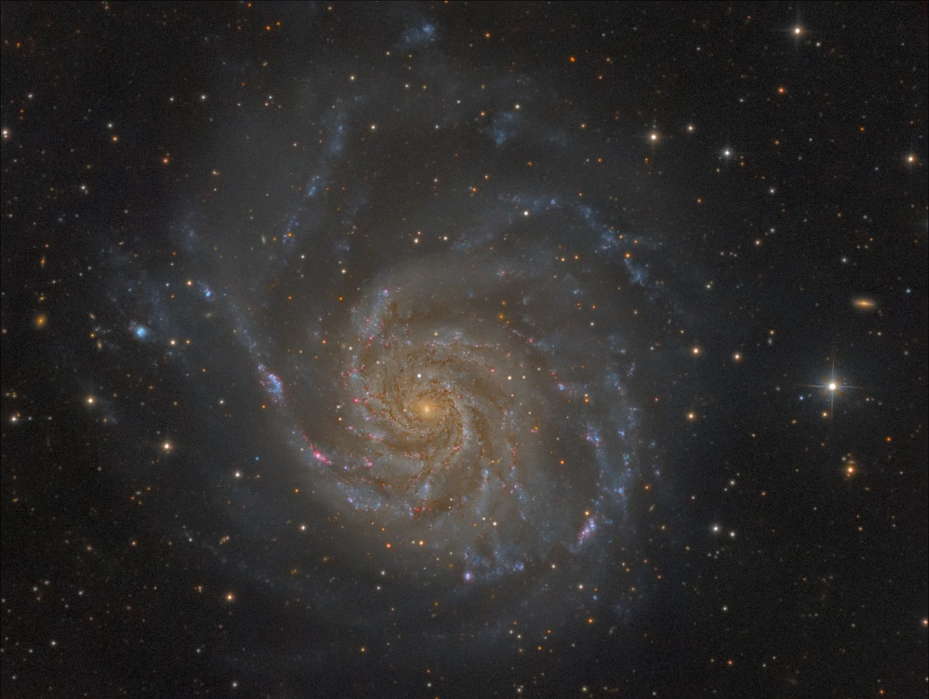 M101.webp
