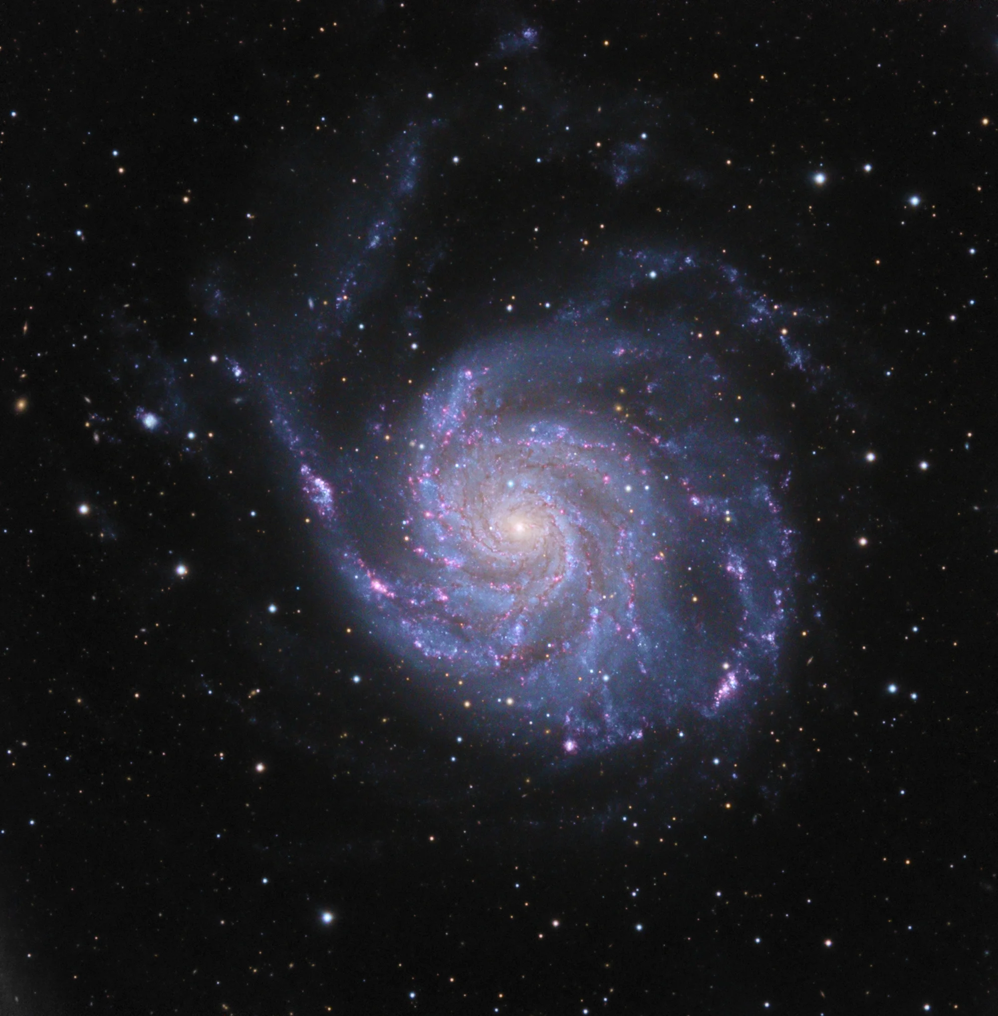 M101_santel100%.webp