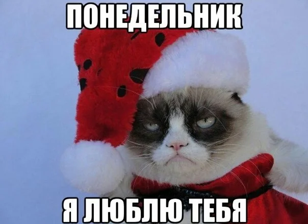 m1bhuZagGDg.webp