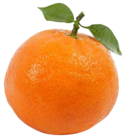 m2141--mandarina.png