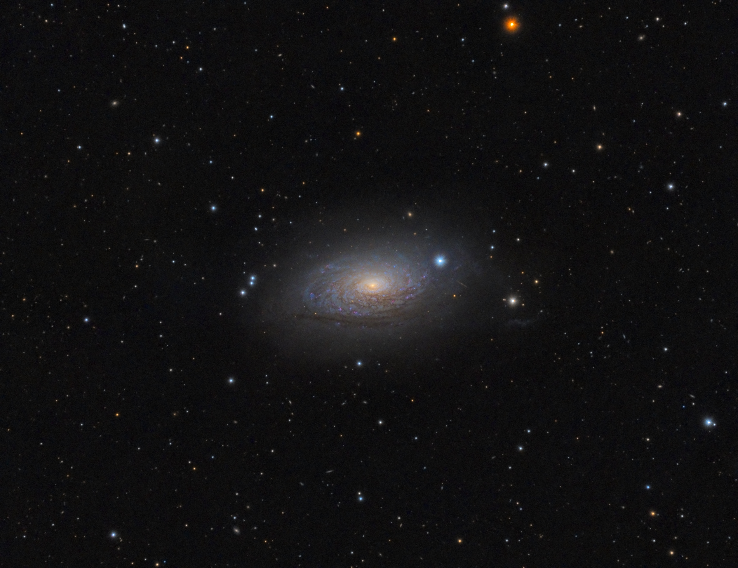 m63.jpg