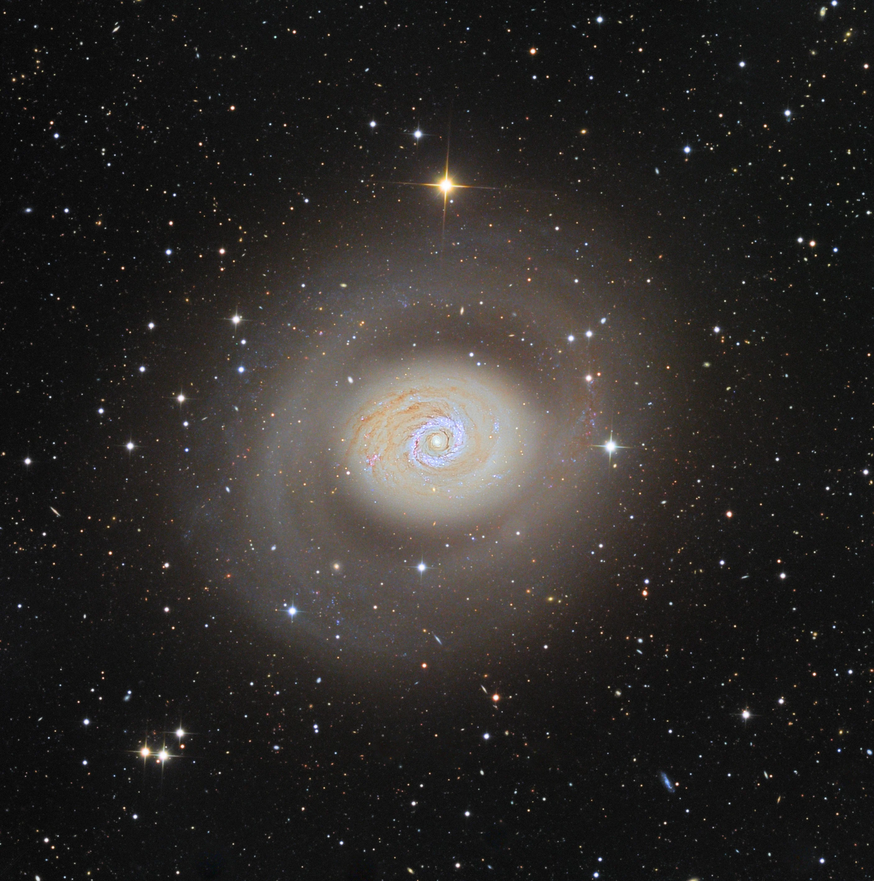 M94b2.webp