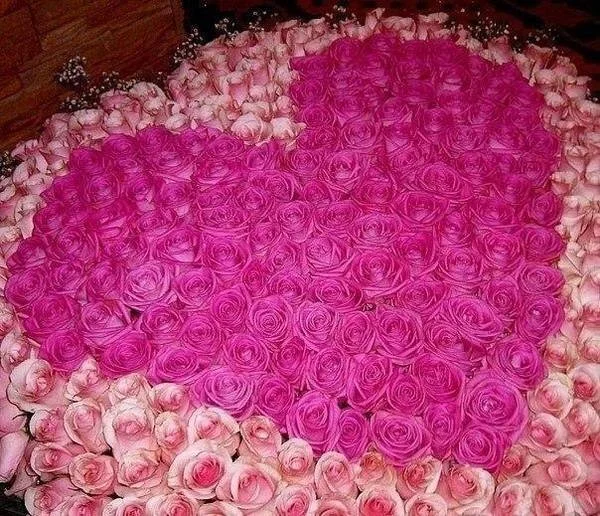 MA3Ew.webp