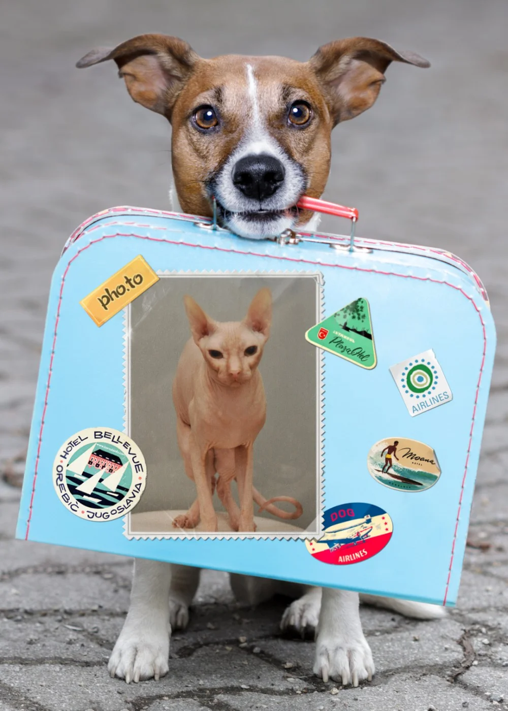 Мафа. Анфиса1.webp