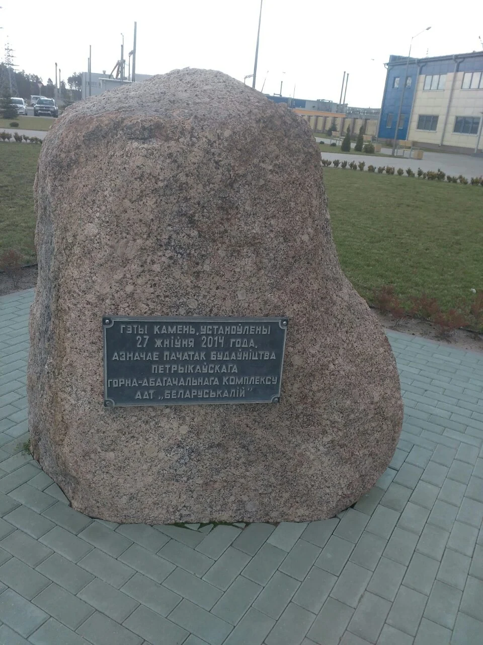 Магнит петриков.webp