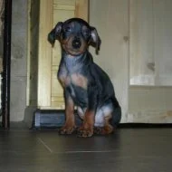 мальчик 1.webp