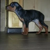 мальчик 2.webp