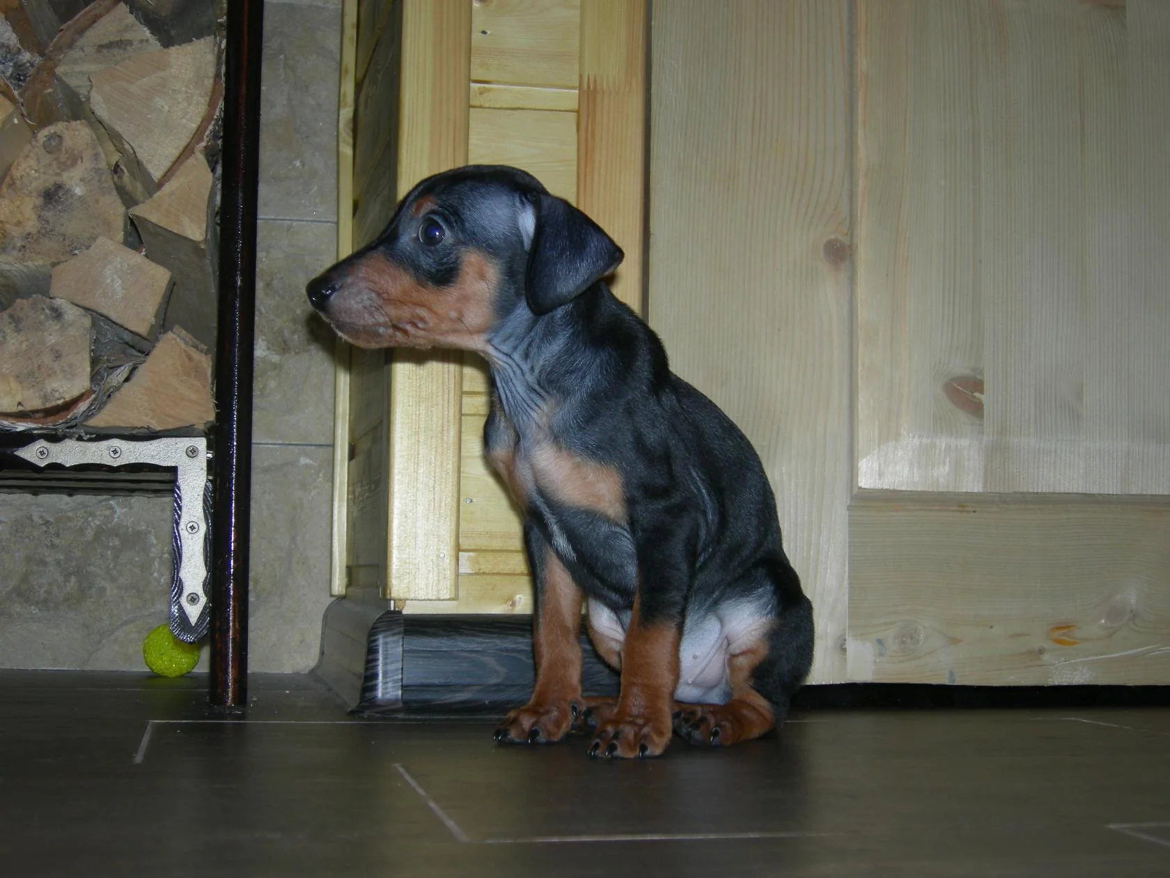 мальчик 3.webp