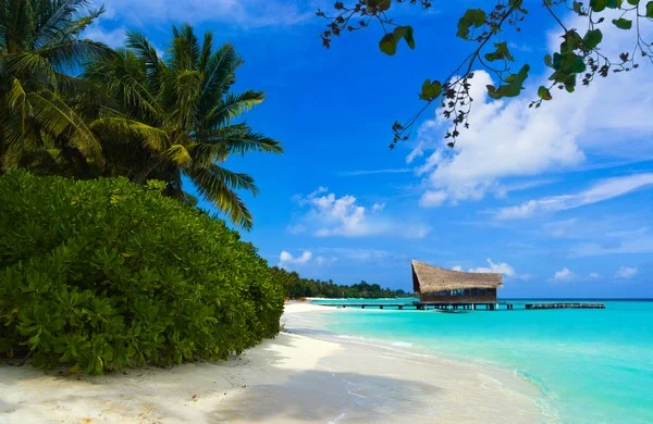 maldives.webp