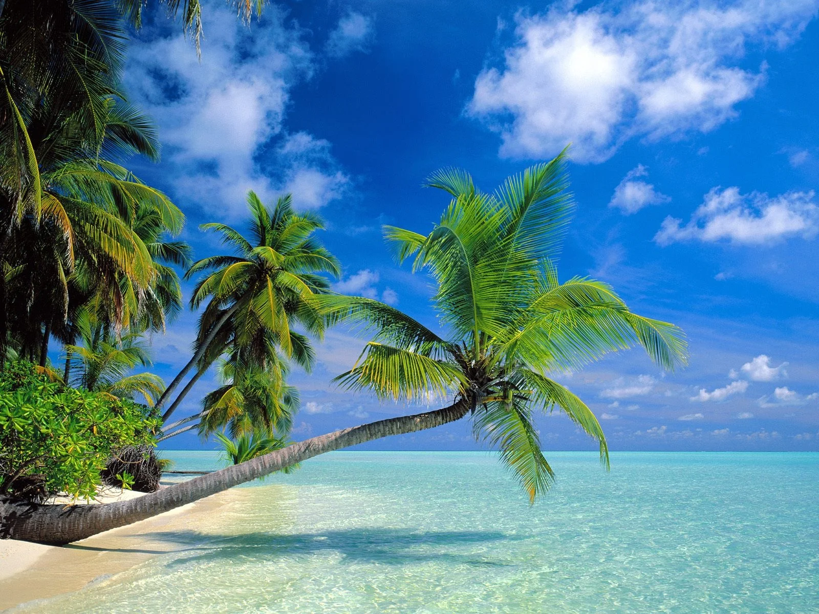 maldives_8_1_big.webp