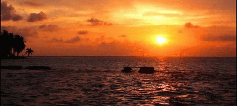 мальдивы 2.gif