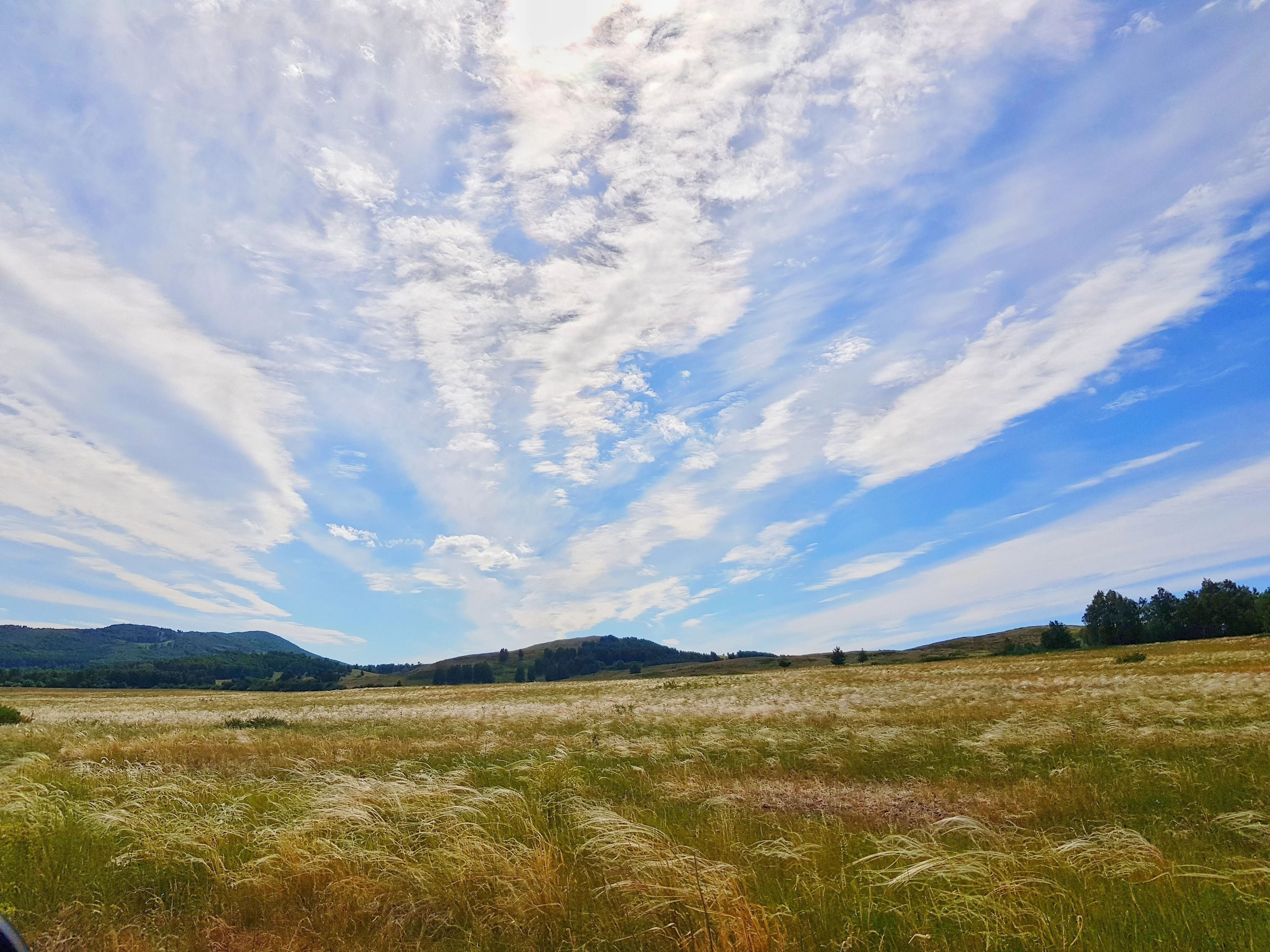 Малинка-а (3).jpg