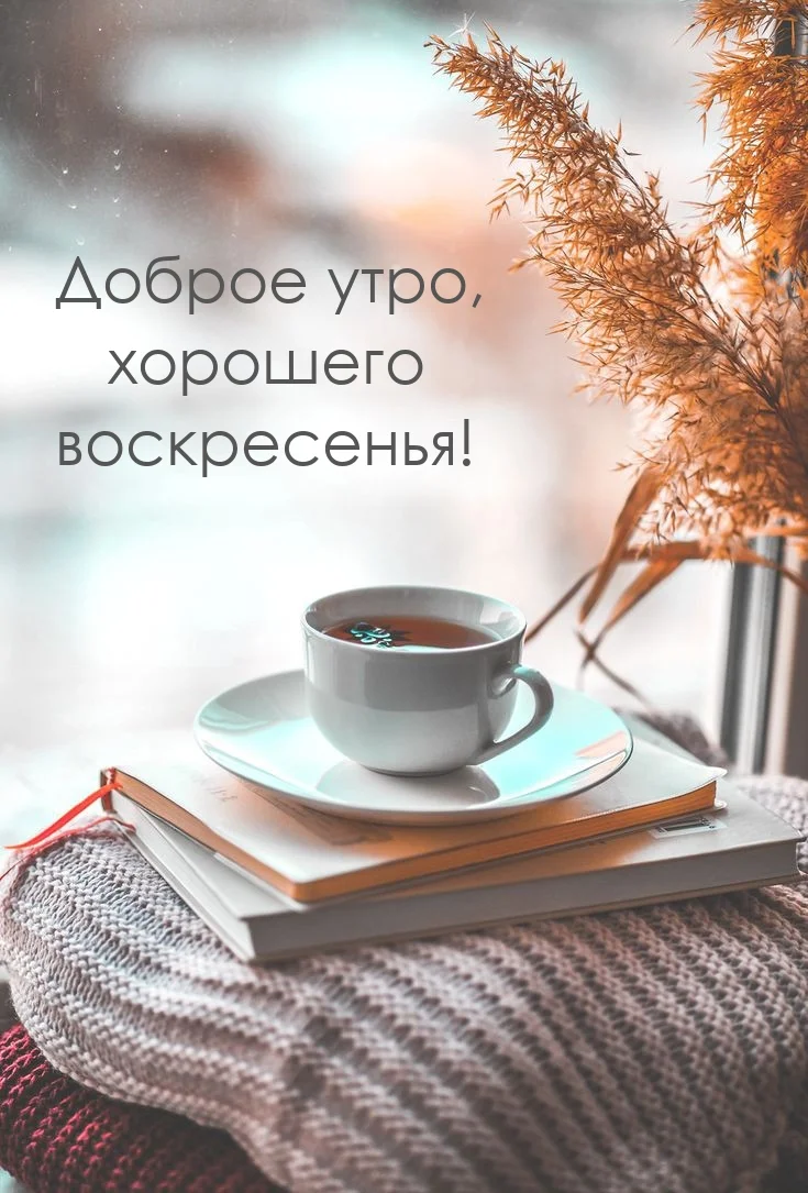 malinkakat_ru_15983 (1).webp