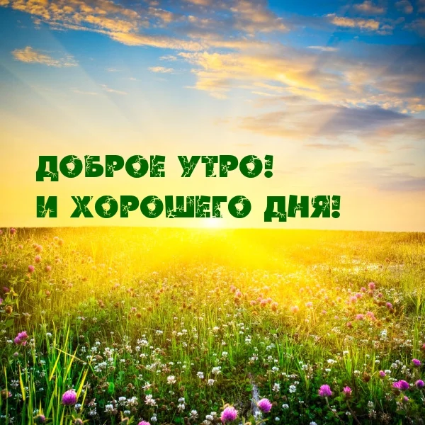 malinkakat_ru_2223.webp