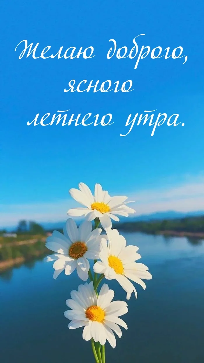 malinkakat_ru_876.webp