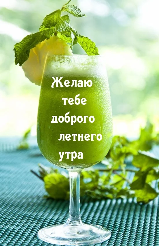 malinkakat_ru_900.webp