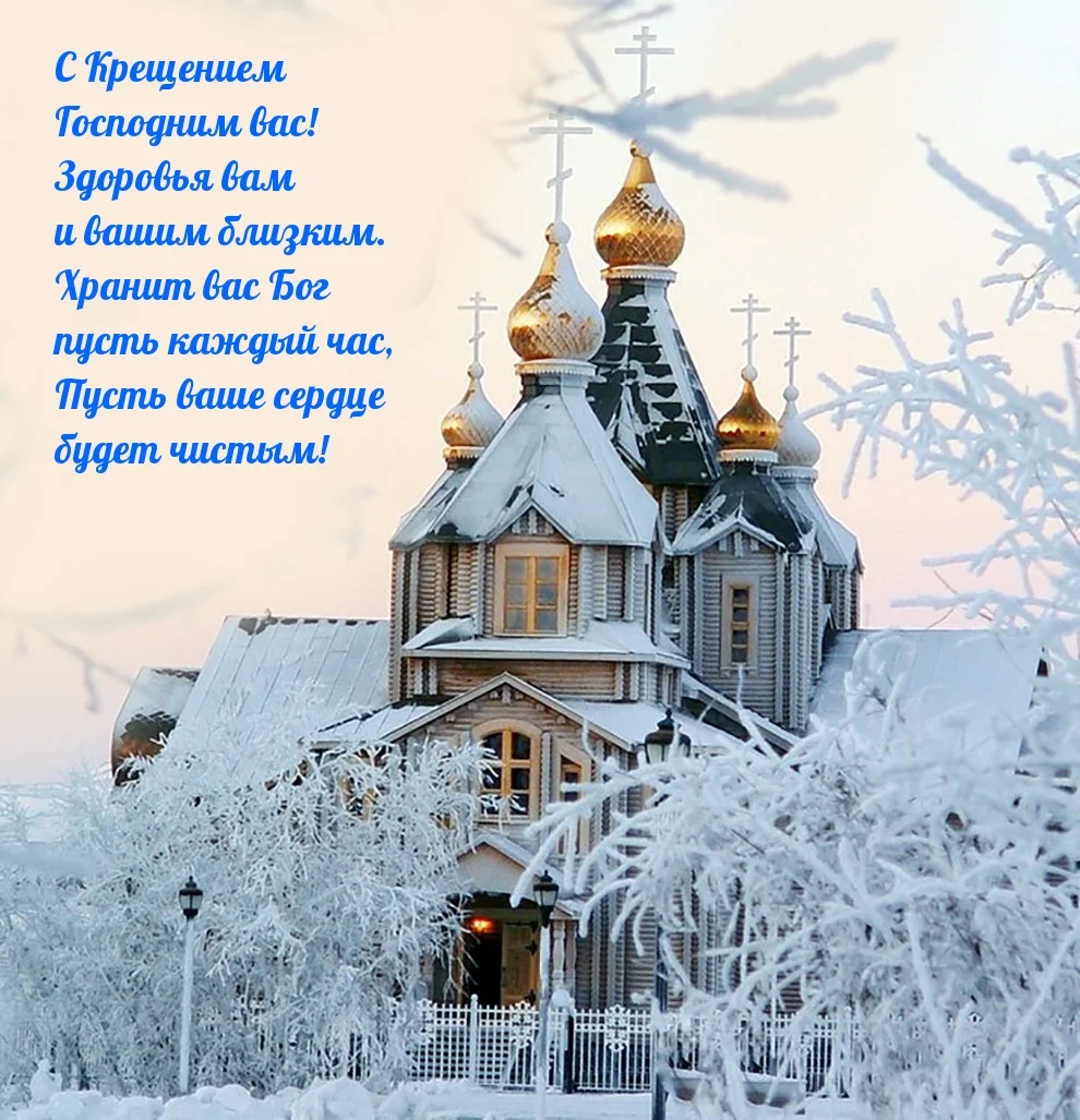 malinkakat_ru_9207.webp