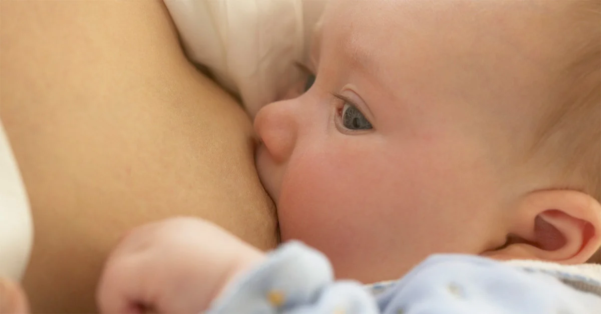 мамина грудь.webp