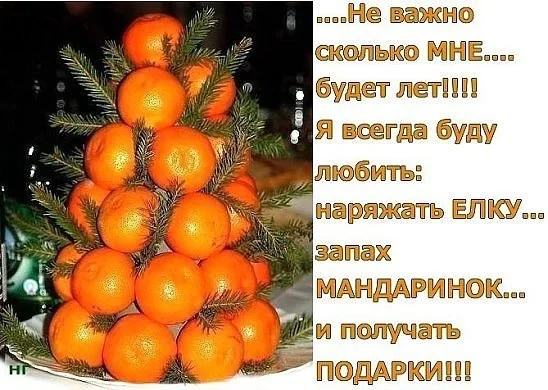 мандариновая елка.webp