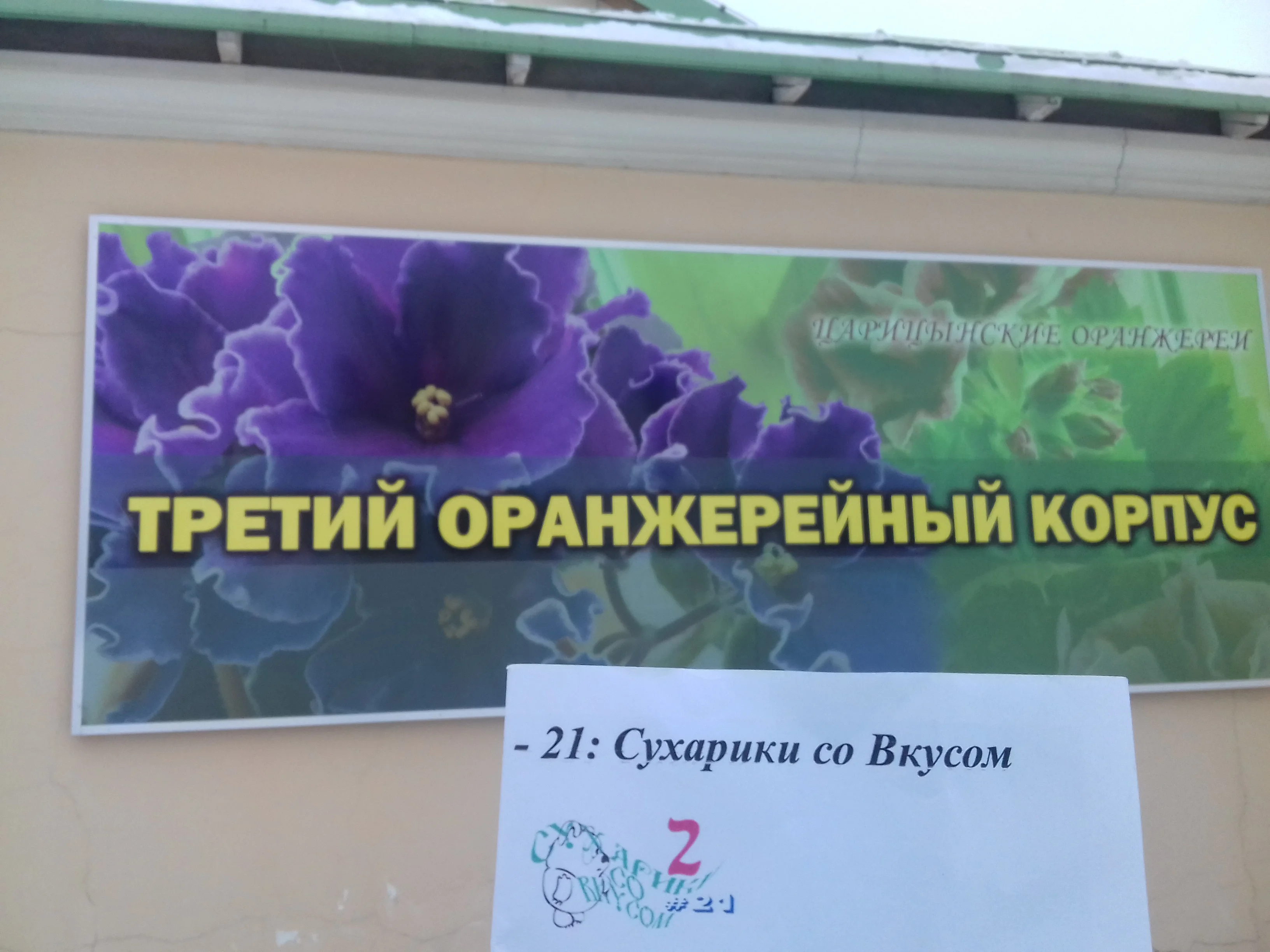 Манго - третий оранжерейный корпус.webp