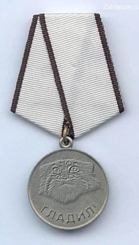 манул-медаль-4252.webp