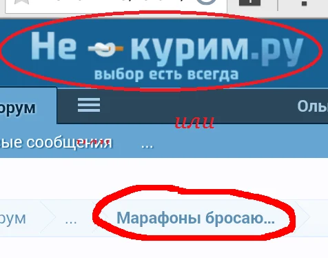 марафоны бросаю!.webp